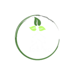 DrinoWebs – Web Design and Branding Company Logo