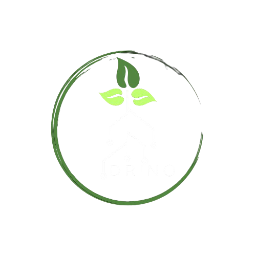 DrinoWebs – Web Design and Branding Company Logo